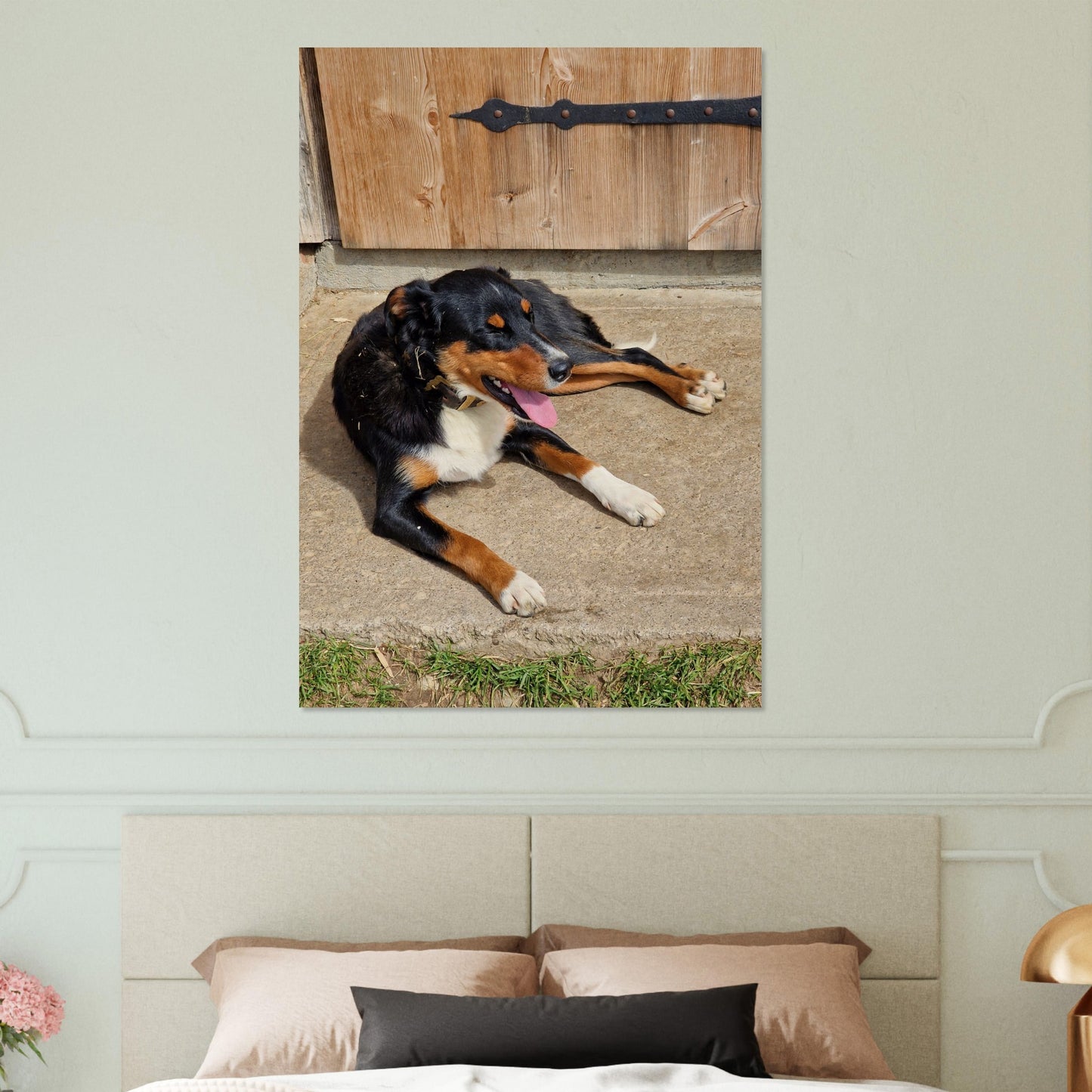 8e0c9558-e690-4181-a4cf-ae8127746501