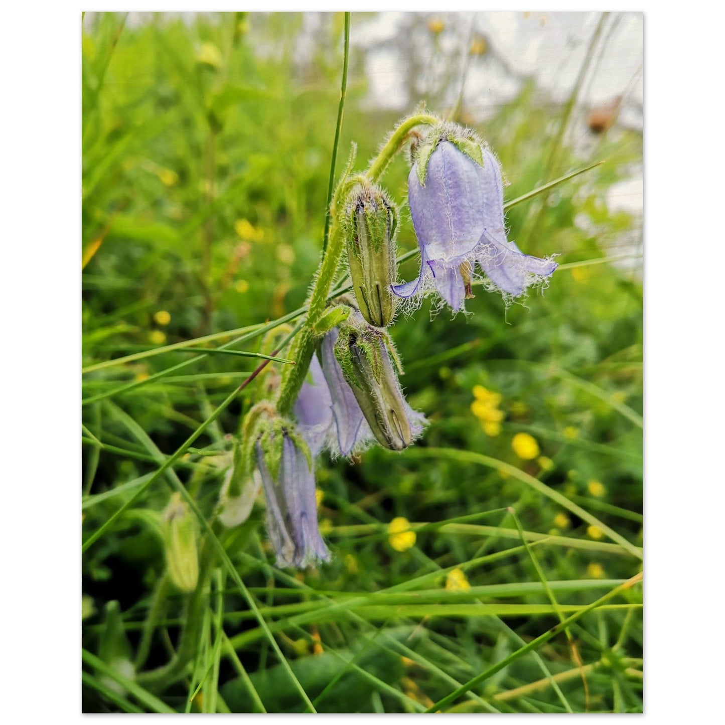 8fe45c19-b5c6-4140-9591-dbc4354c7023