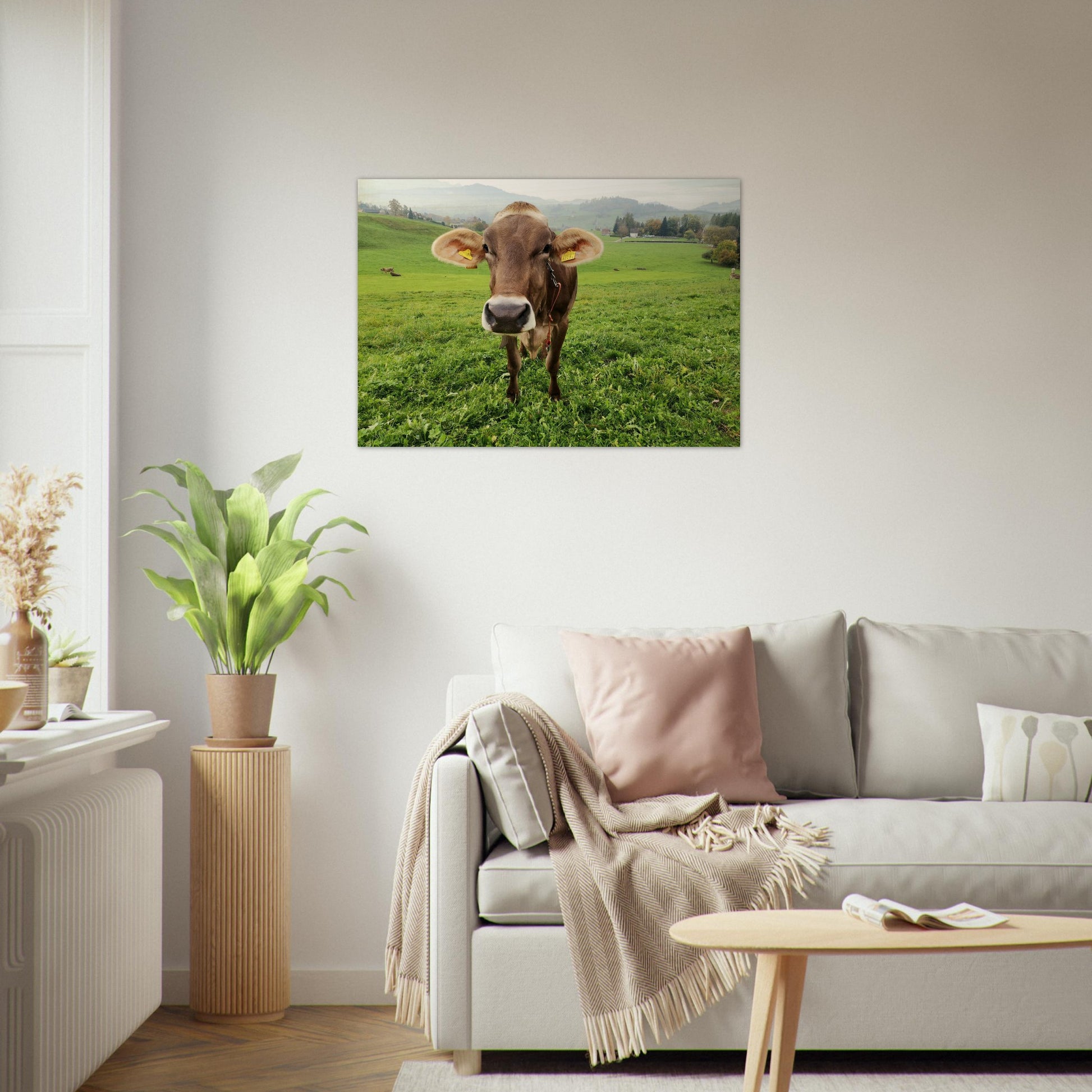 904320ac-7d07-4158-a734-e1e8fde98ea3