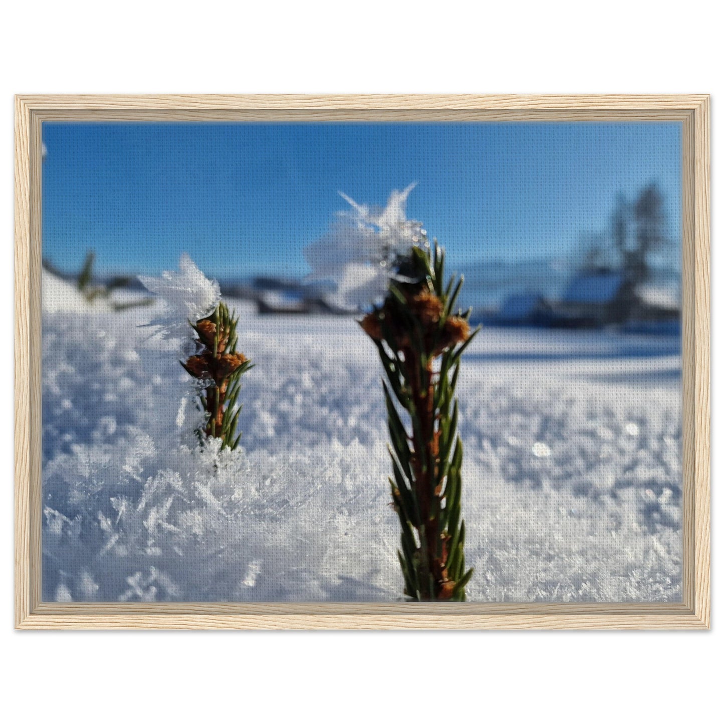 90b509b0-315d-433e-ad3a-b3d9aa856a0b