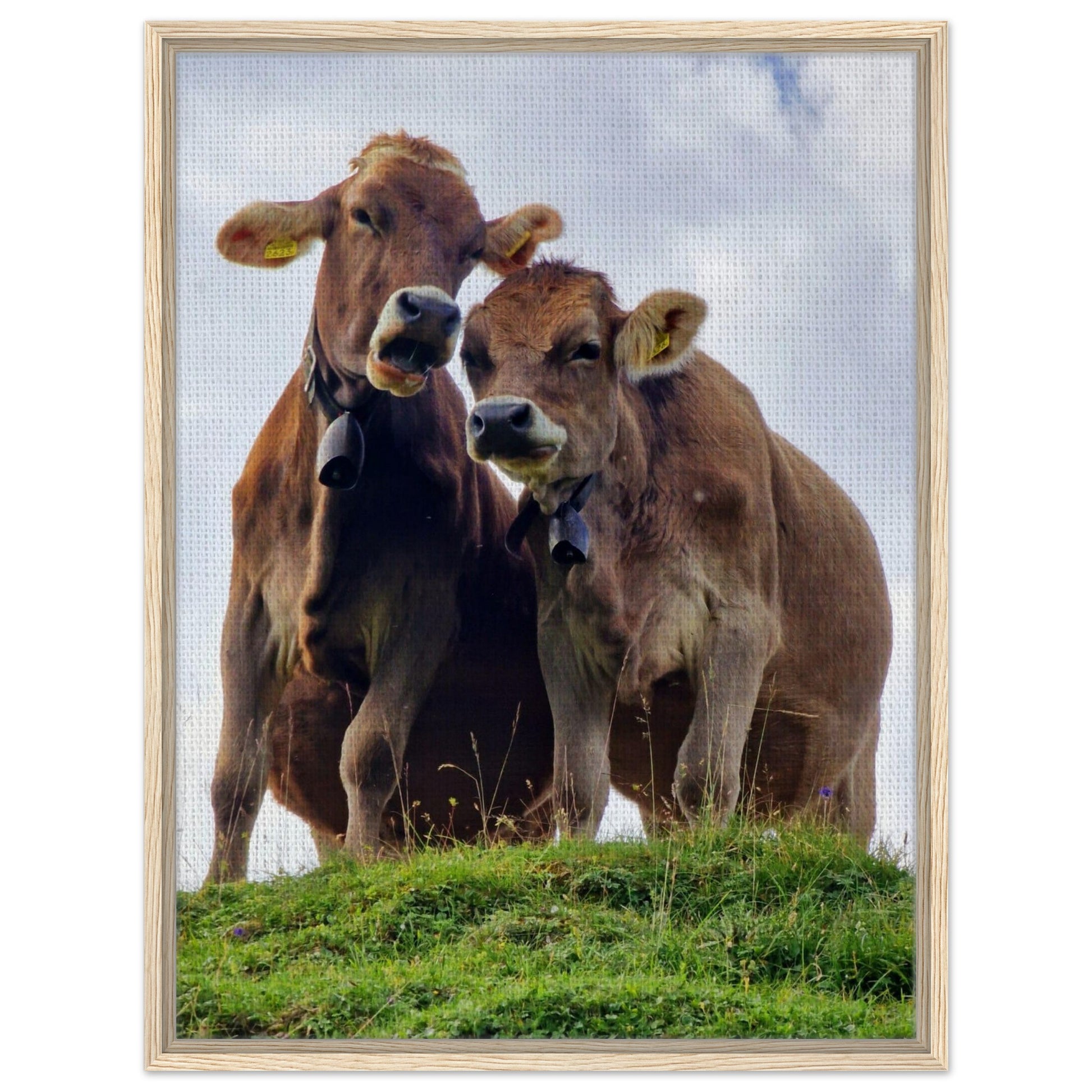 9116e50f-c551-4aff-acaf-351dada1ce00