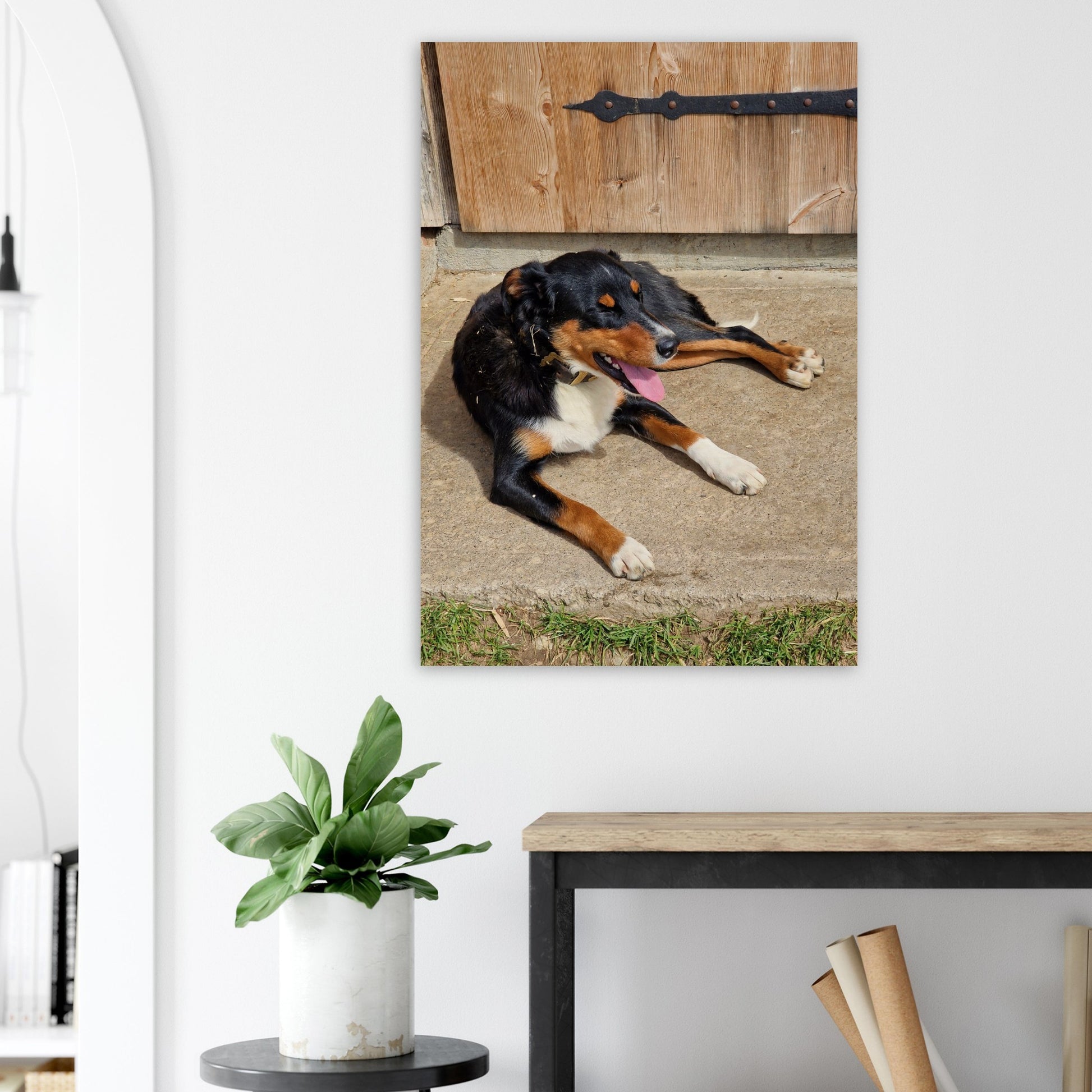 92828a42-49ed-49d1-b89e-10b675c6e914