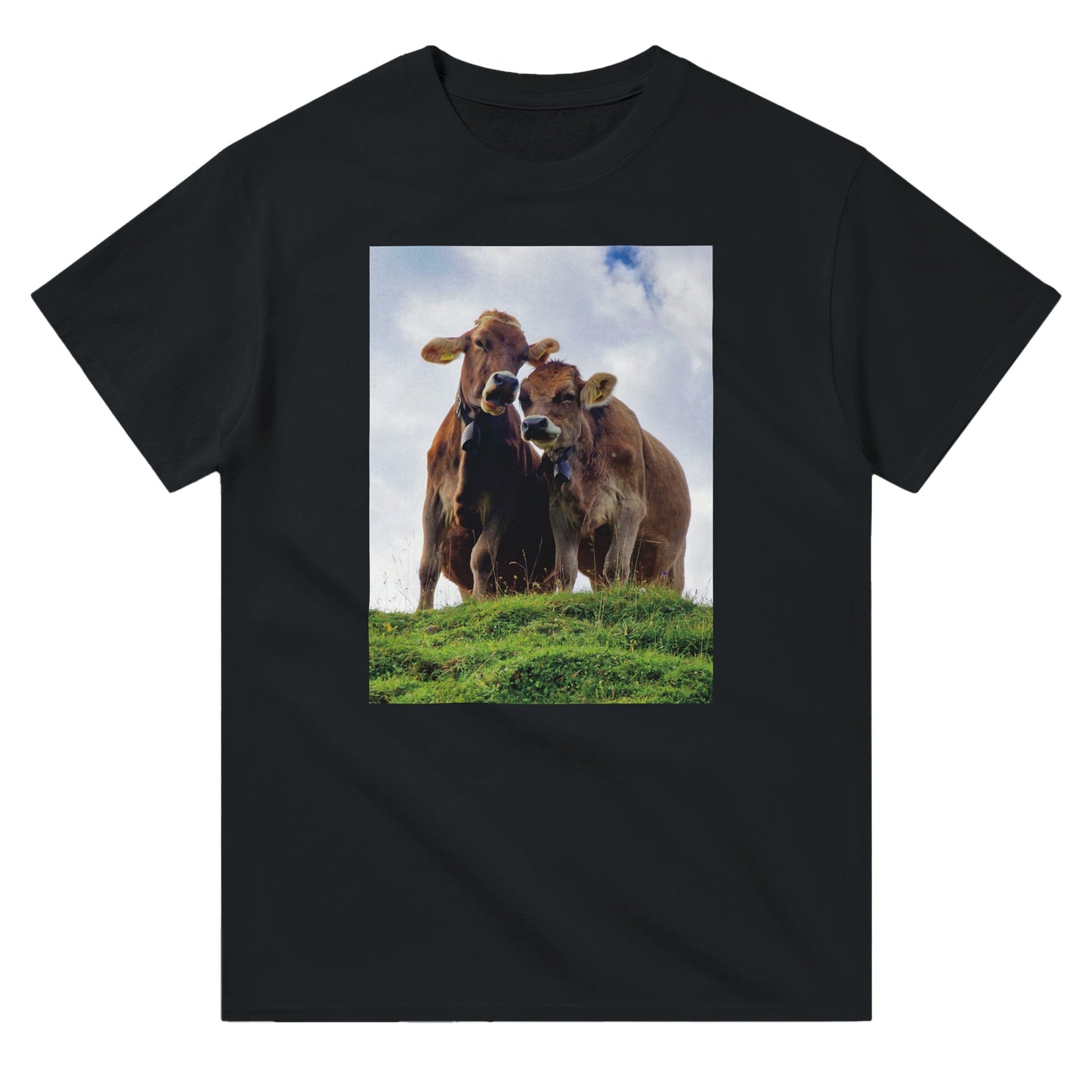 93c8c6ec-6bde-4db8-8fac-664eb61d8e4e