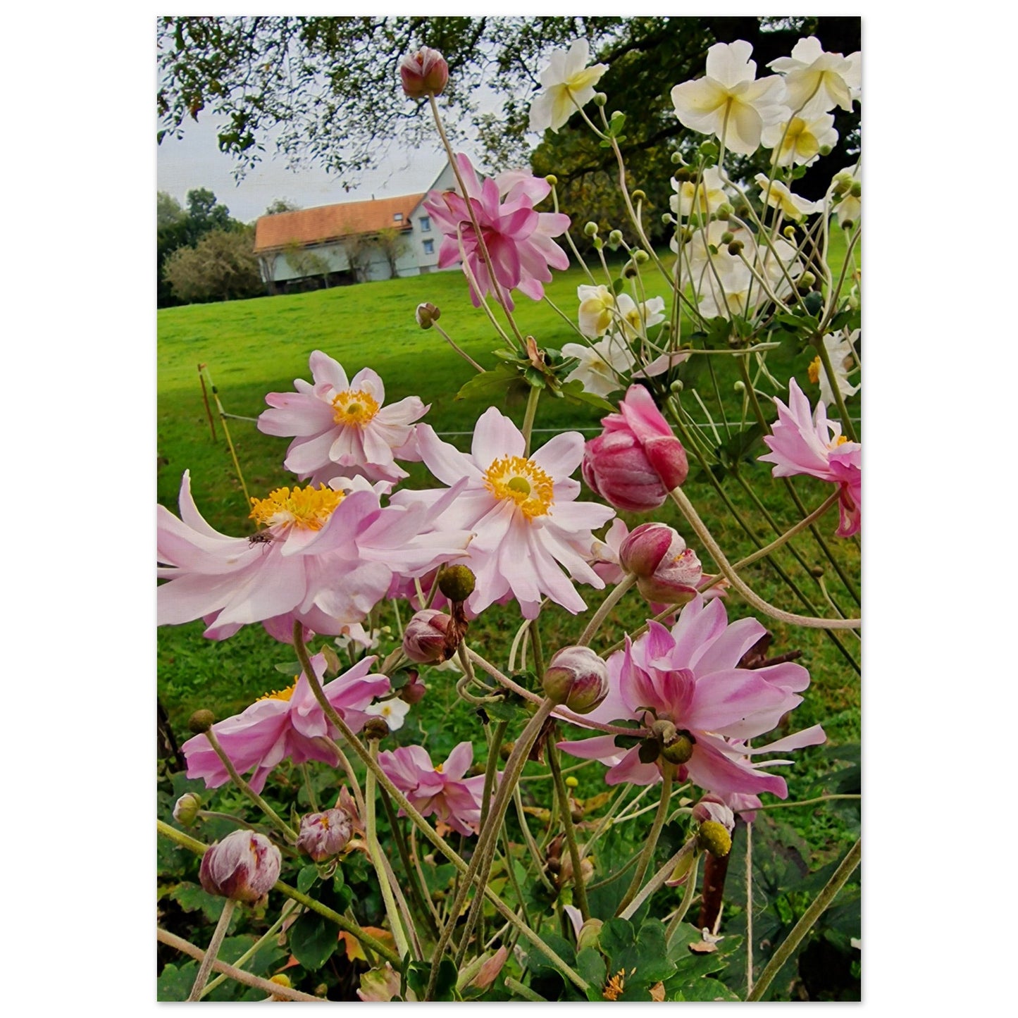 954ff466-56f6-4f68-9dc6-e48a73645b5d