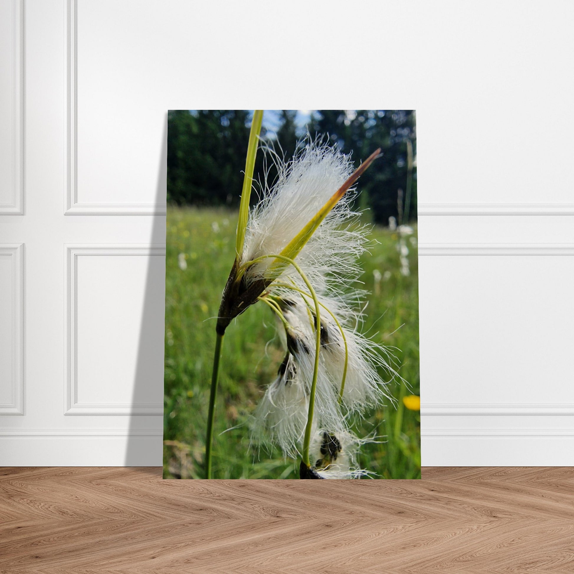 9656bc98-d863-42eb-86c1-bf8bbe2bba79