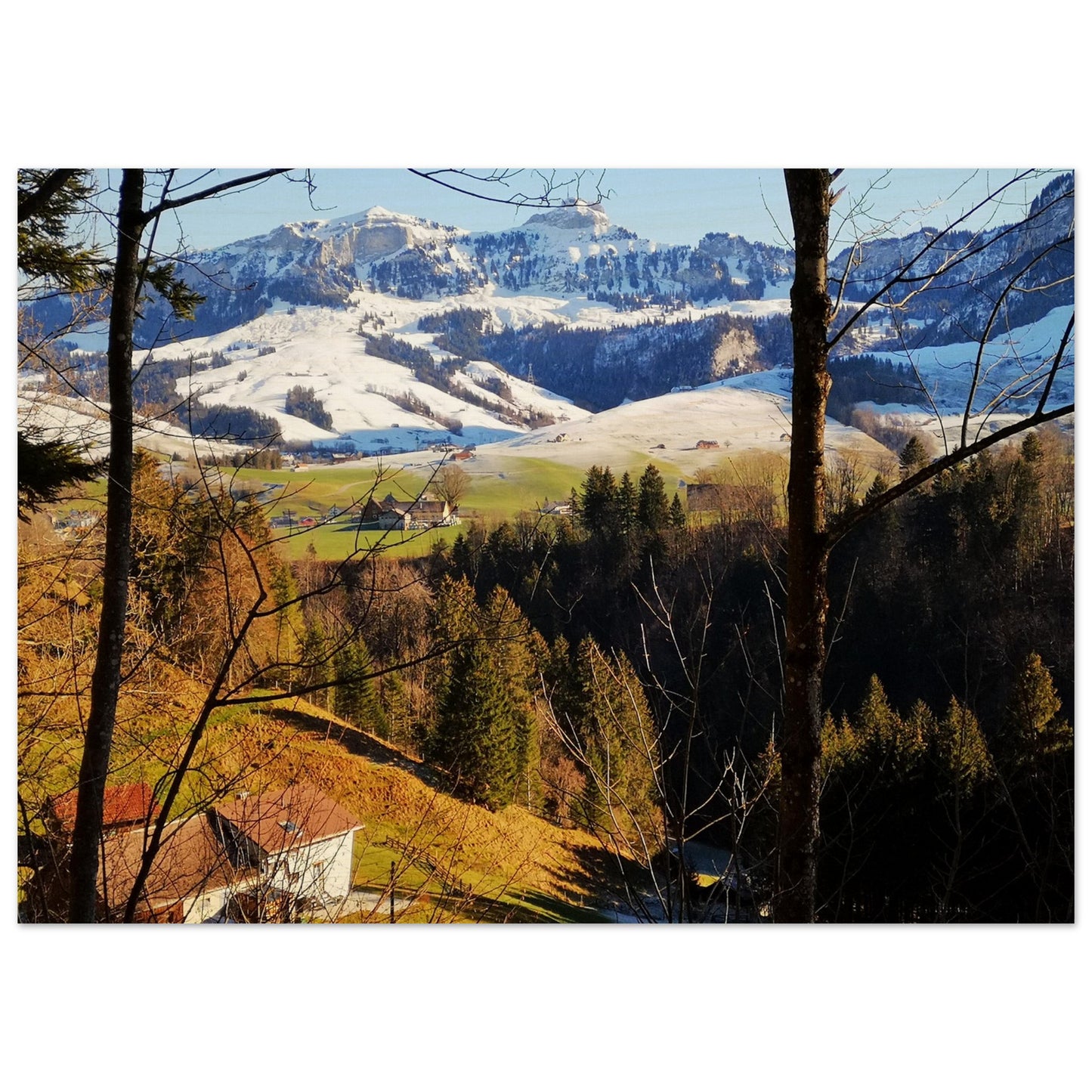 97943152-9760-4edd-8027-adfea72f52e2