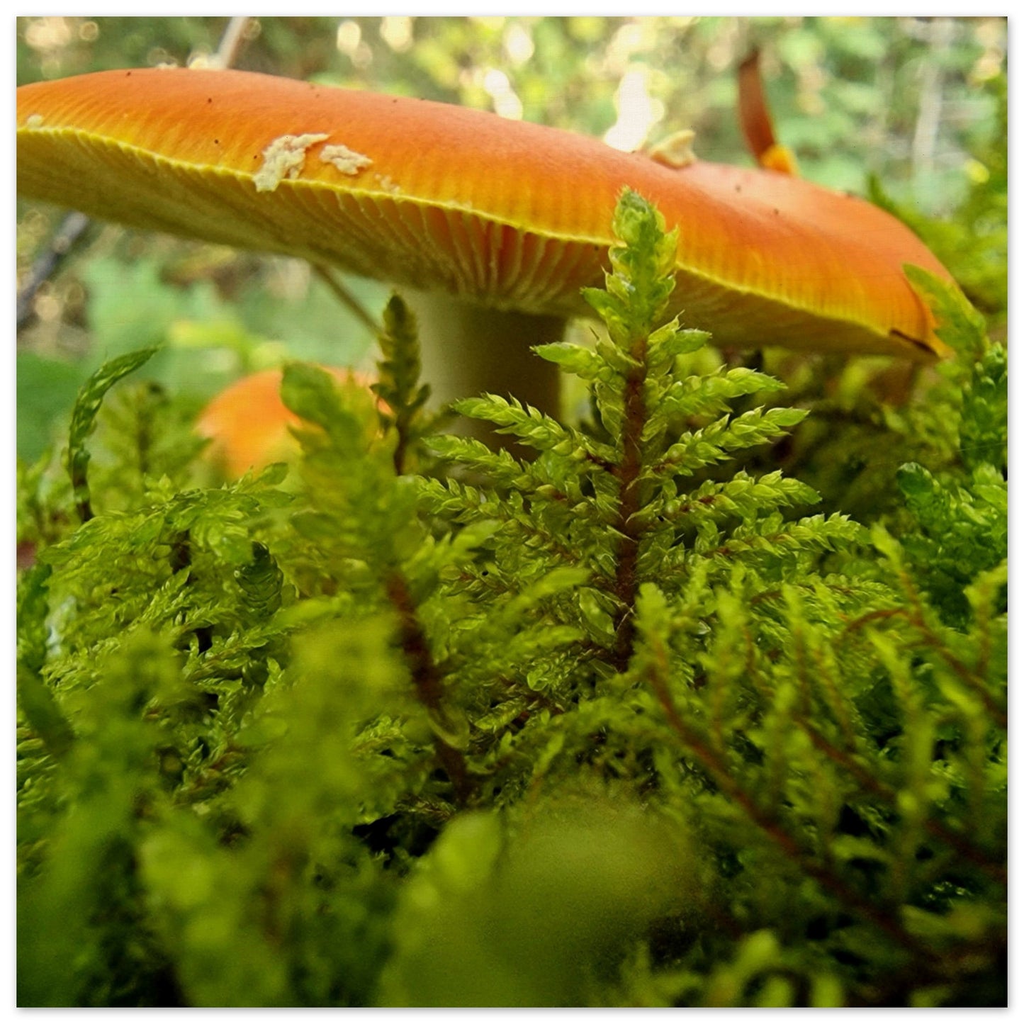 995ca7f5-3f4f-489a-88cb-fd54bb0a3bff