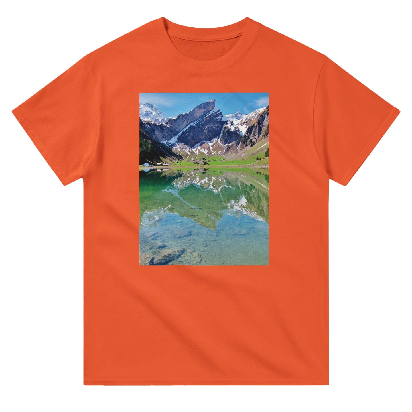 996254ff-76fc-4e7a-b792-022efe4e5488