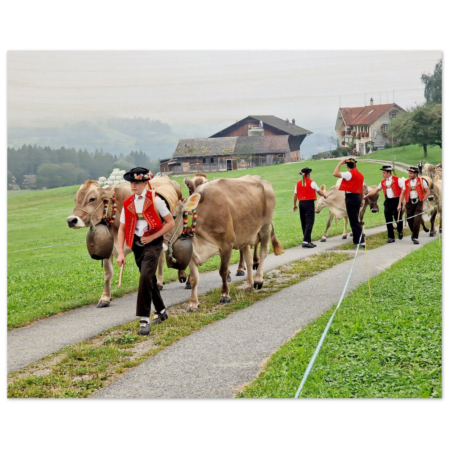 996a3394-c862-42aa-8fa2-94a4b1e020f6