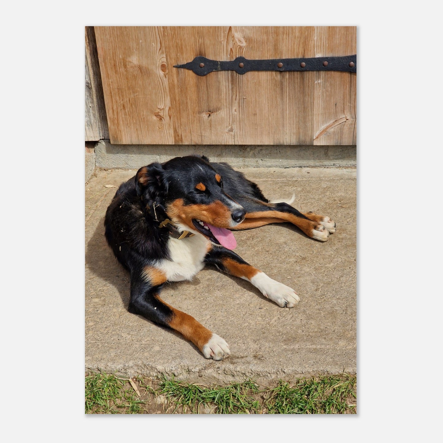 99daf19f-fa10-4065-85ff-2a2904db4274