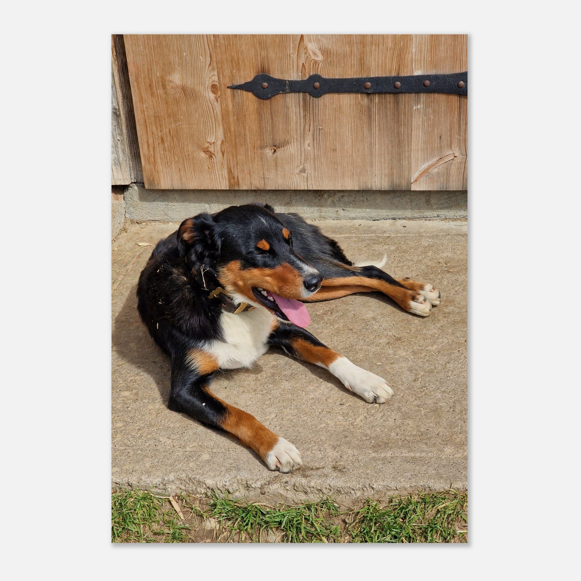 99daf19f-fa10-4065-85ff-2a2904db4274