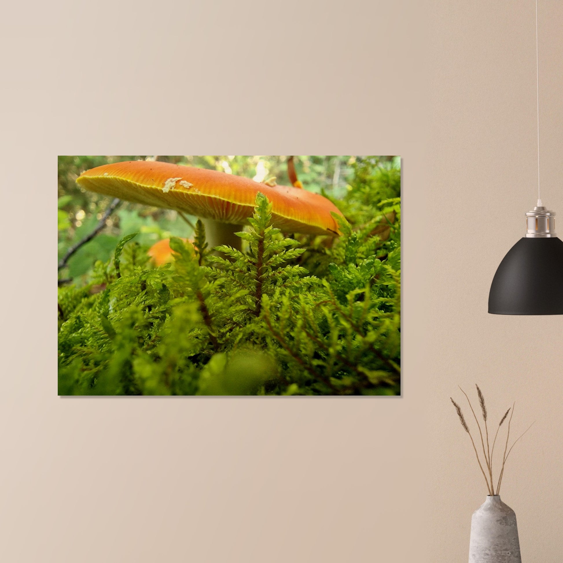 9a179328-23ce-441e-ac7d-d1ff7be0aeed