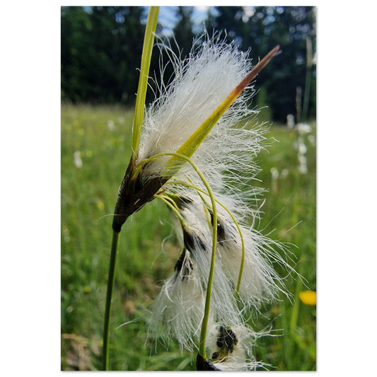 9a927de2-95be-4023-94e1-f2e146c64168