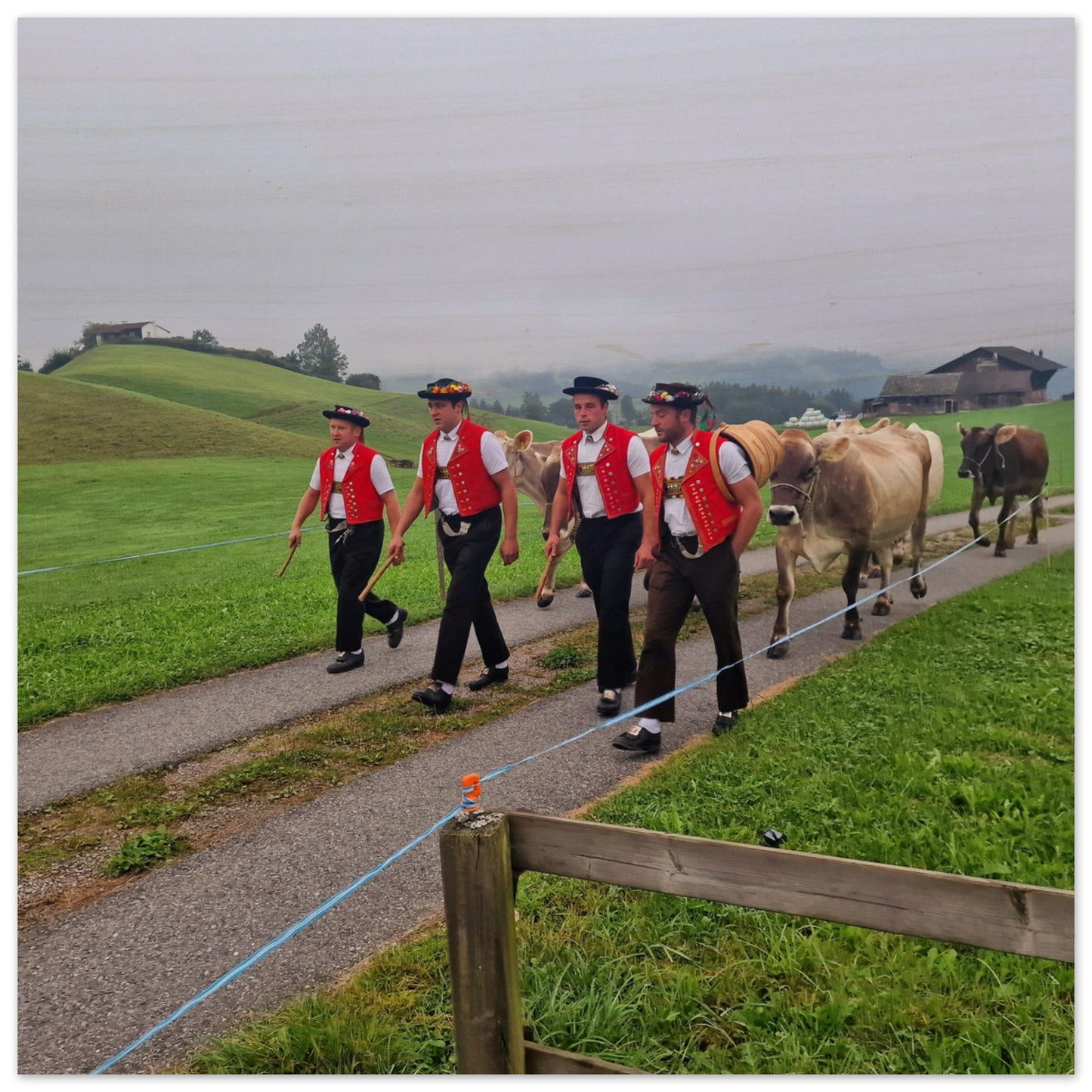 9a9290e8-d335-4201-9c3a-403e9e7872f1