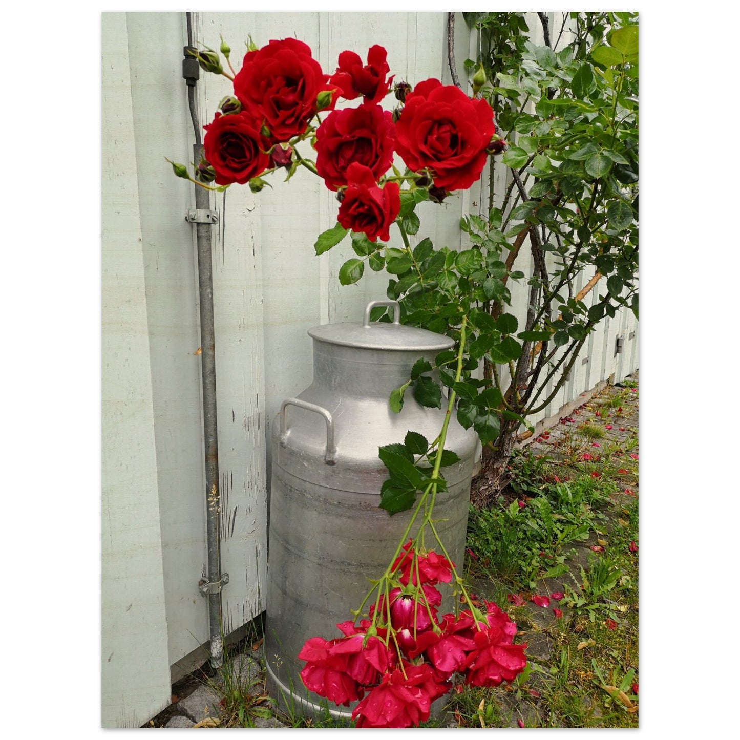 9b2d1630-7a86-4a89-bf46-a6640c23141c