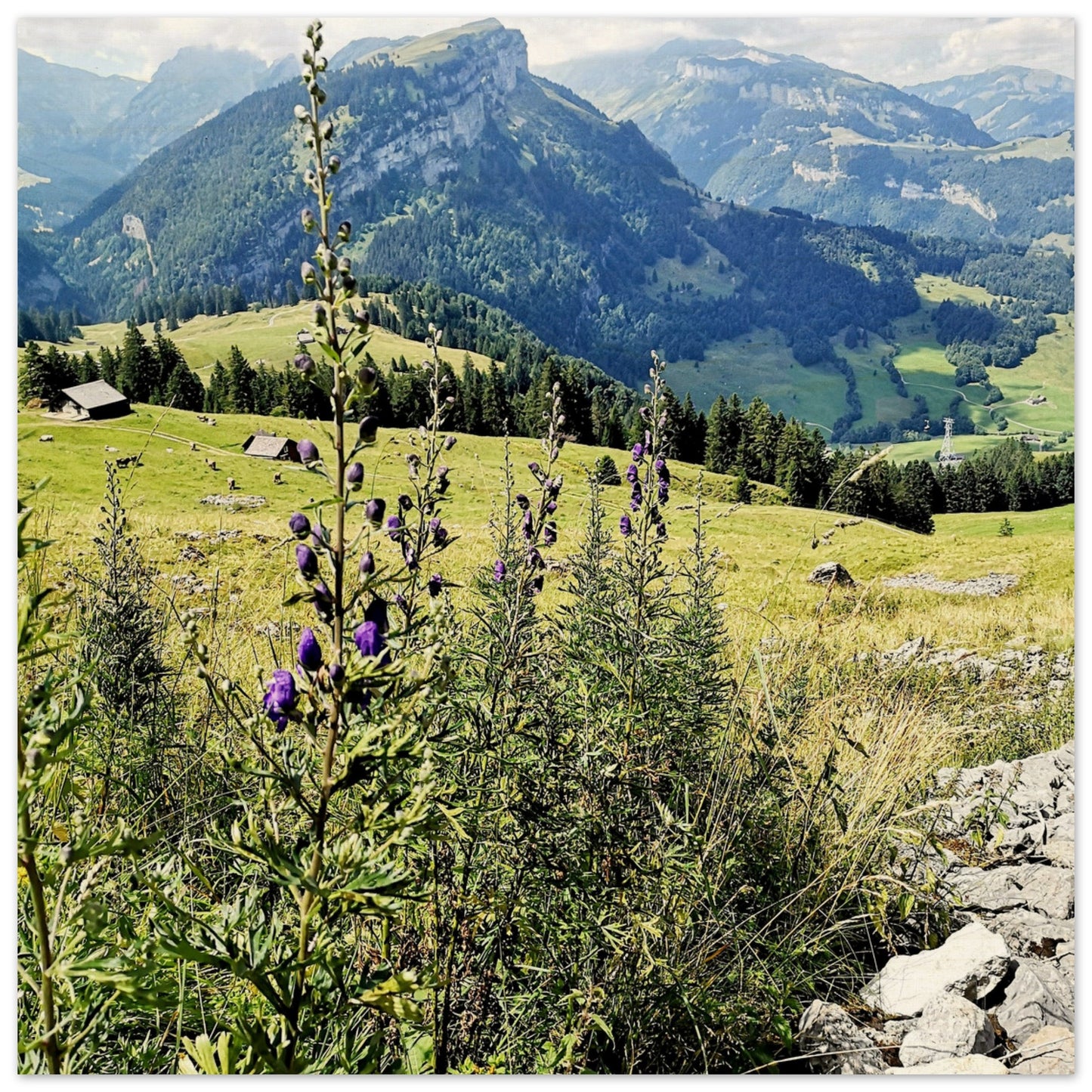 9b2f880b-a1de-449b-b0b2-c23ea755f11e