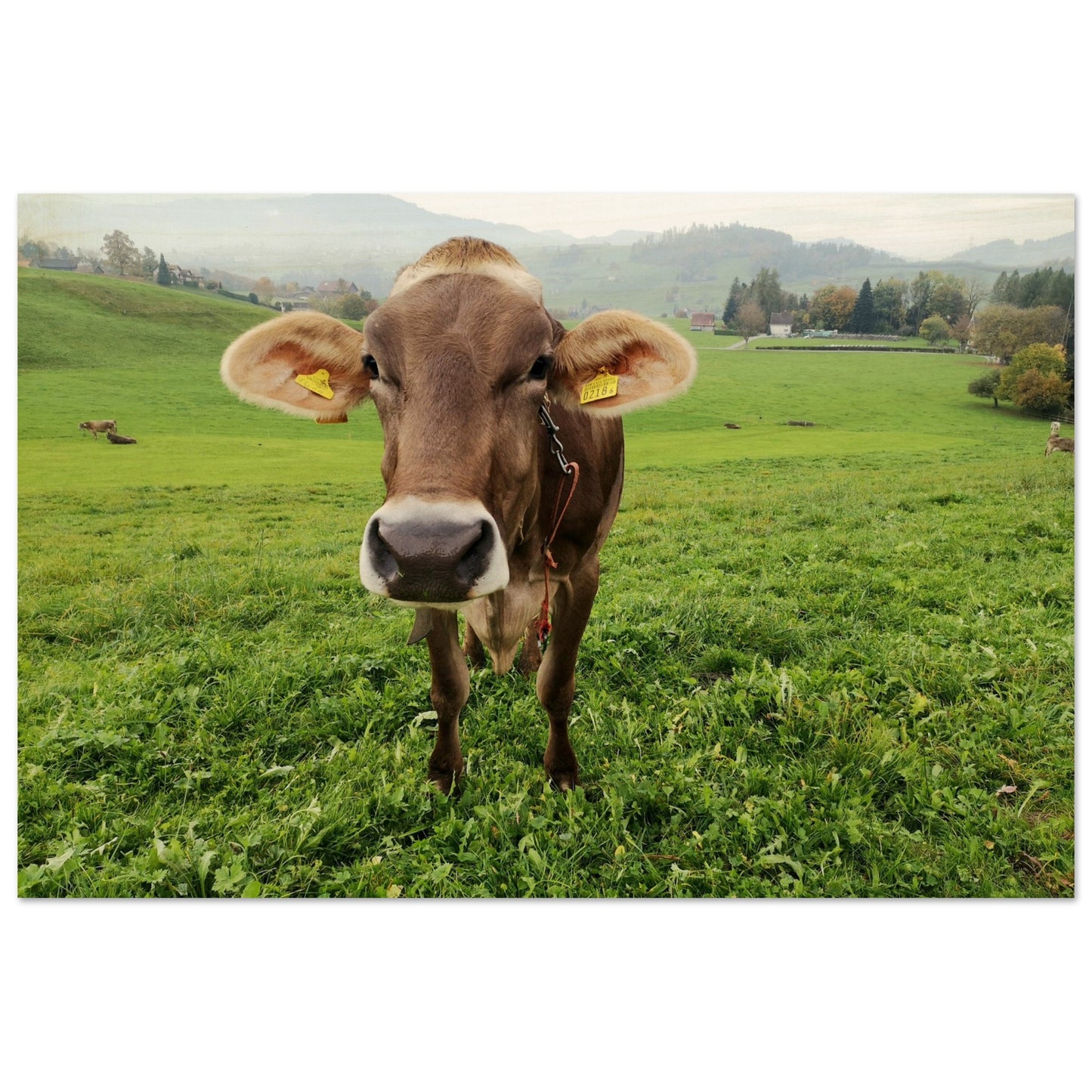 9c2c63f2-1ae3-4dd1-b6db-6297b38d3b27