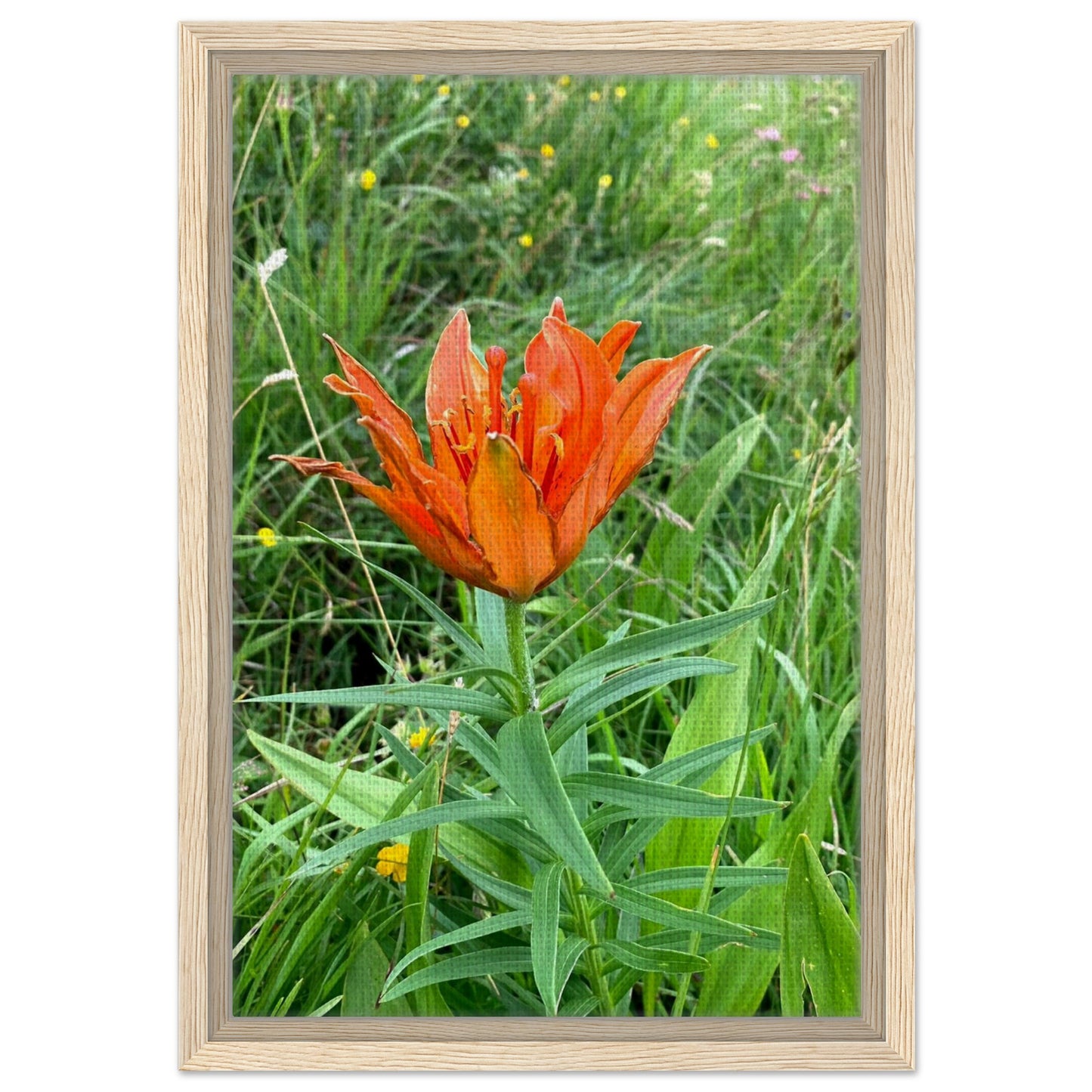 9c35a978-d313-426b-851f-edc6c3e577dd