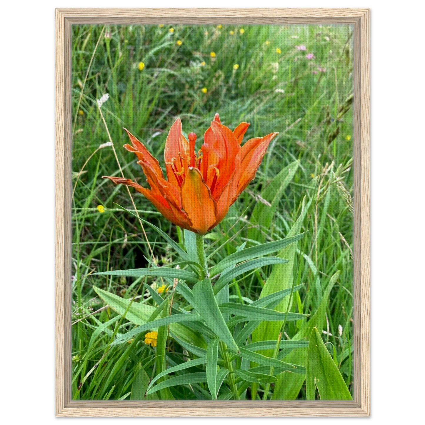 9c8fb115-9238-4fbb-b2a7-cd0689c87670