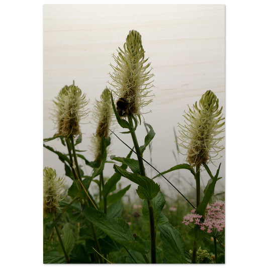 9caa5fd6-465d-4667-9ac1-52527a740a3d