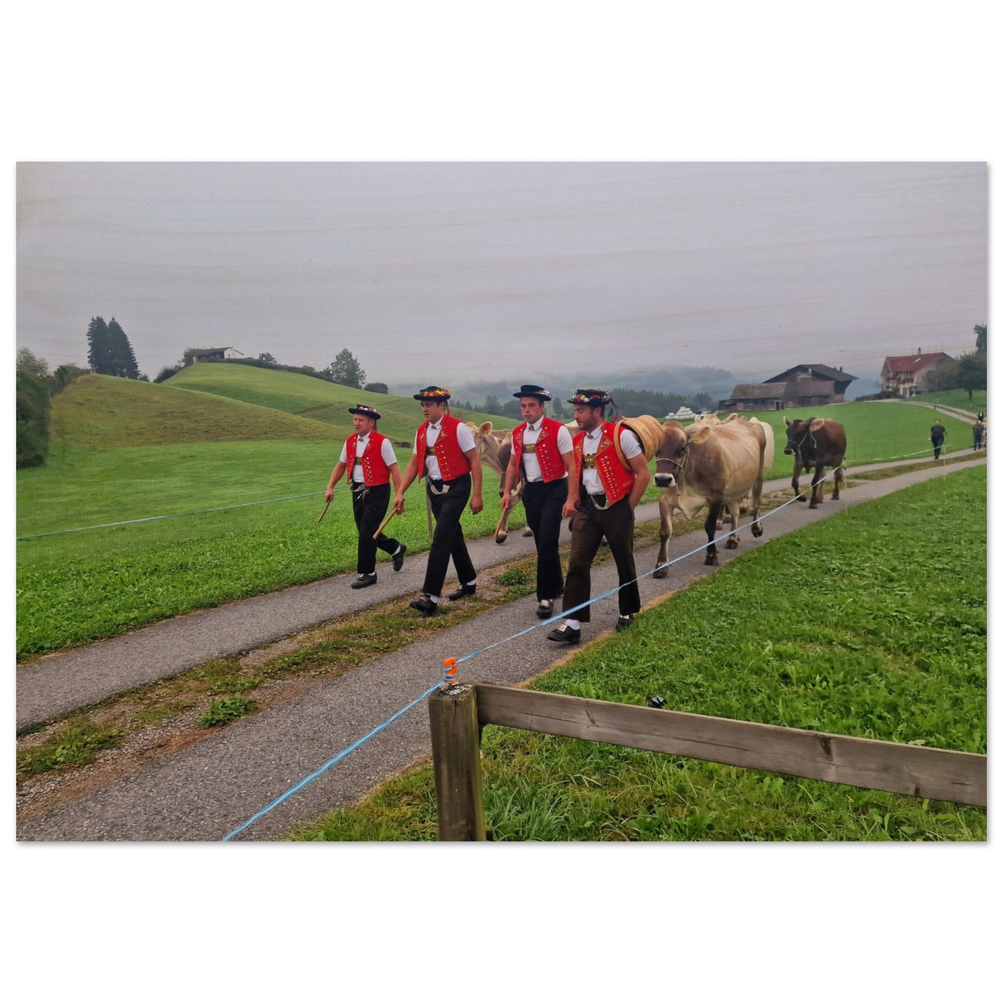 9cdc4a01-6121-4017-88fd-2bdffbd7e970