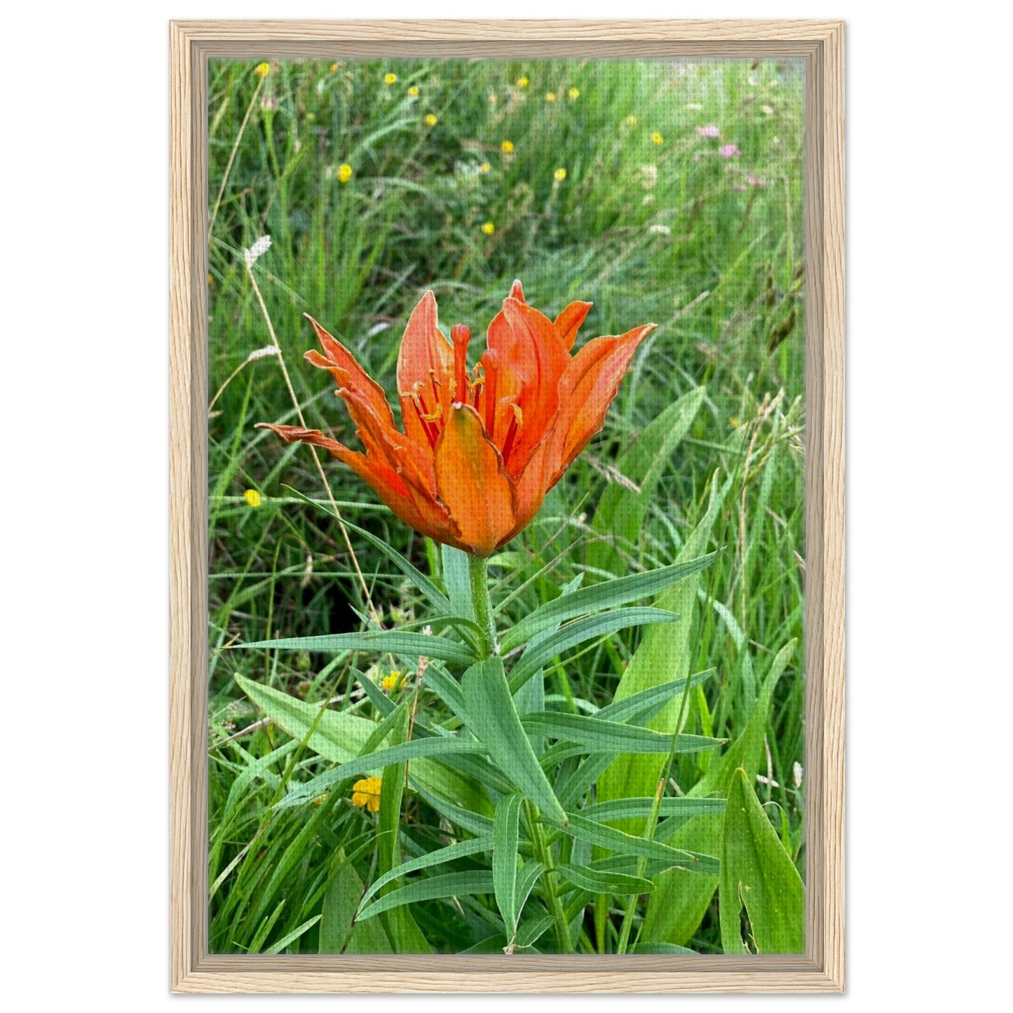 9cdefc2f-d9a5-4f56-a244-a6917ae984f9