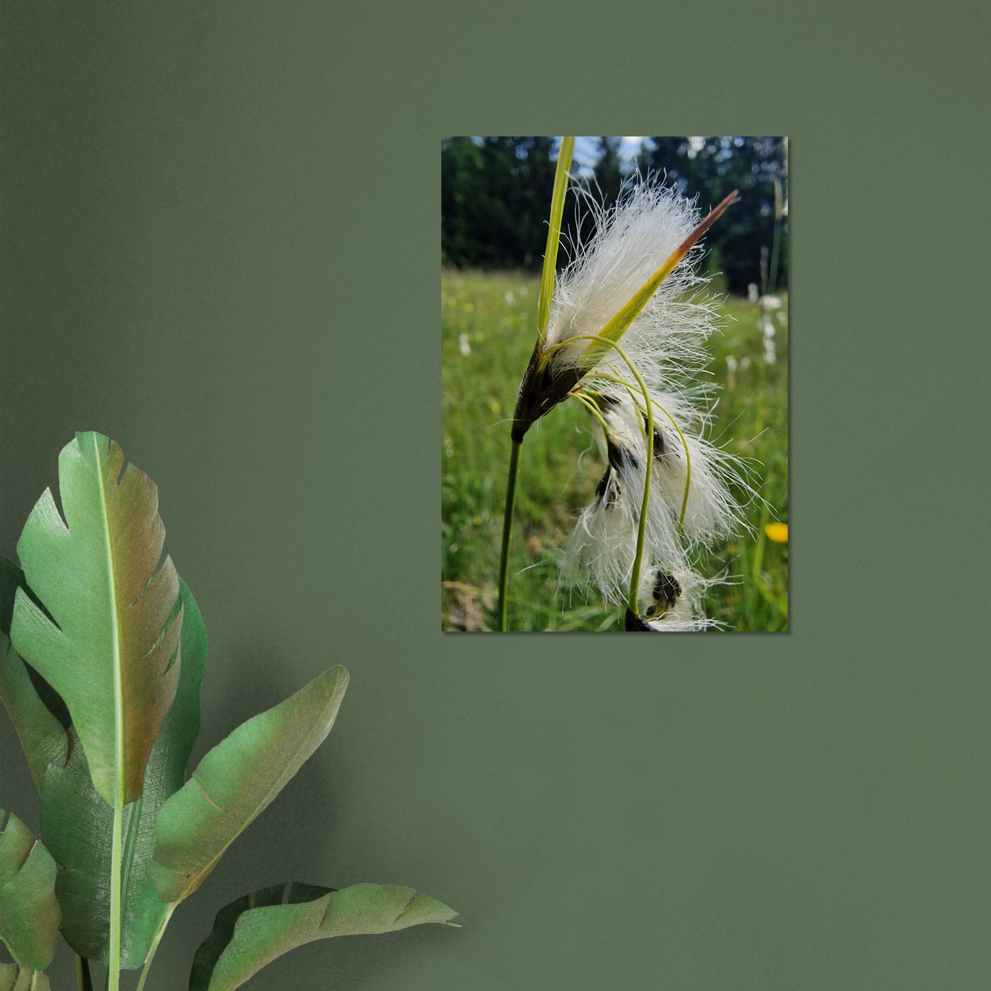 9d0b3776-fe9f-480f-ae36-5cf6d1912619