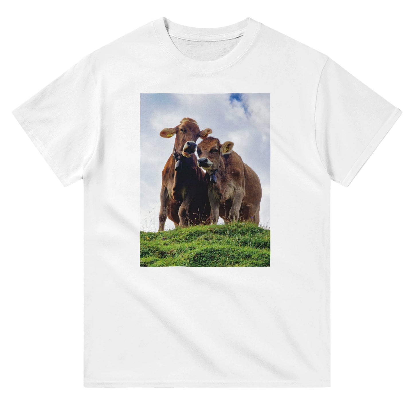 9e501028-985f-443f-9c2c-abfc2f629e0d