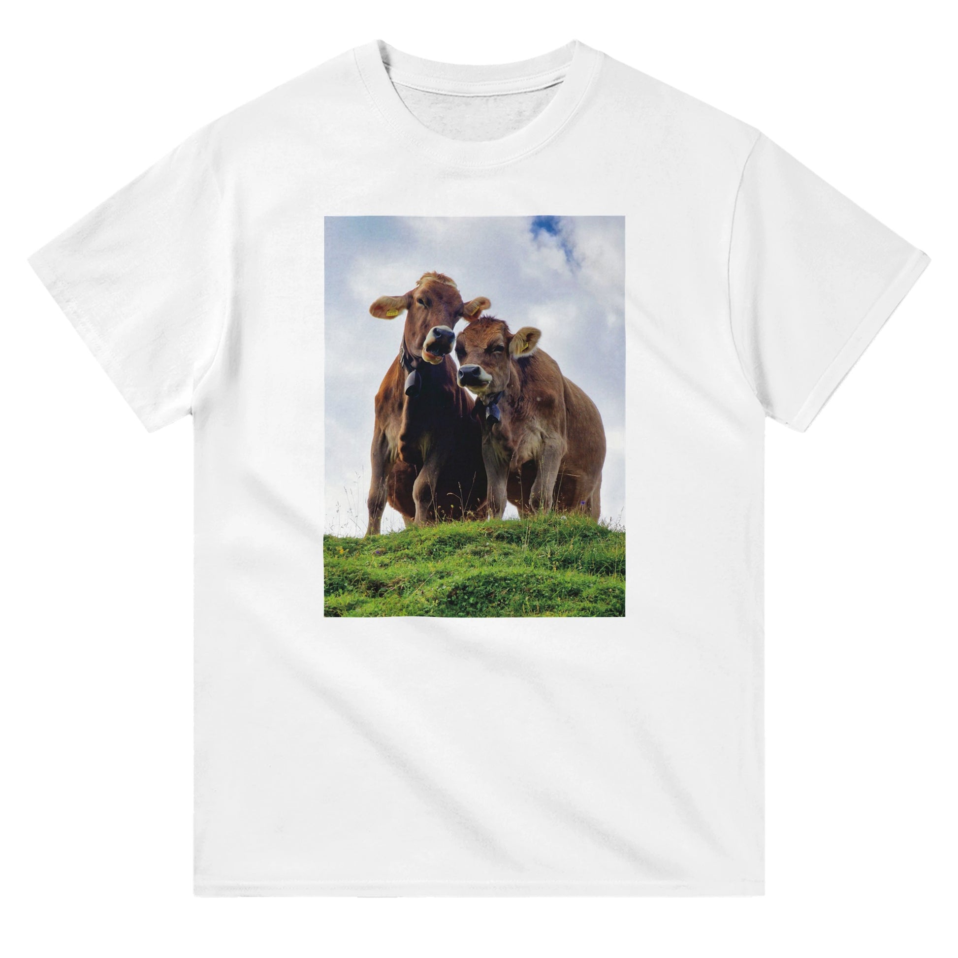 9e501028-985f-443f-9c2c-abfc2f629e0d