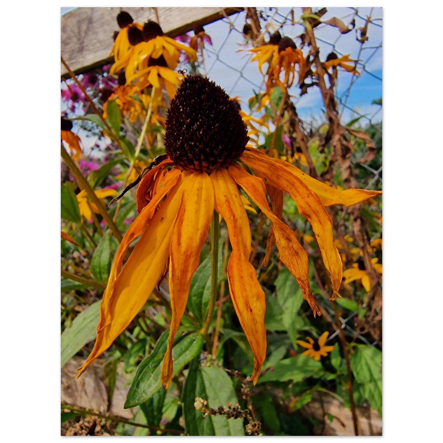 9f2ca822-4972-4bac-84de-d275d33e6dd7