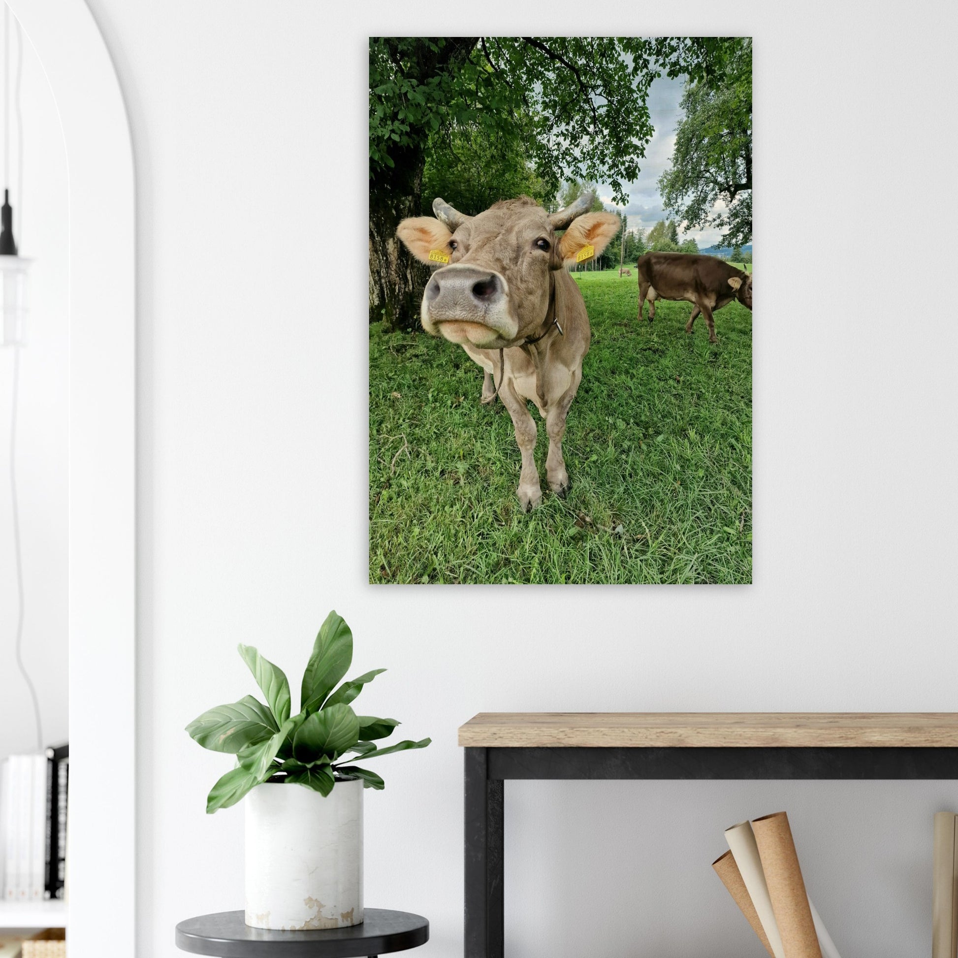 9fb76c28-9b70-48f9-afc7-ea2a8c3ae746