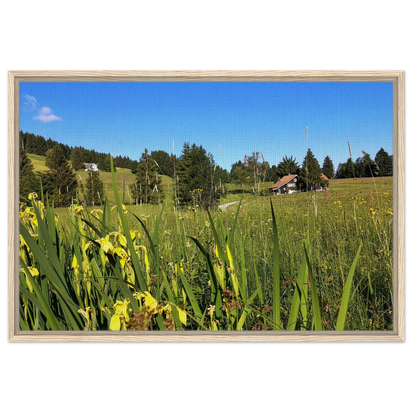 a0322d11-bcbc-49cd-9cf8-0a7689389ebf