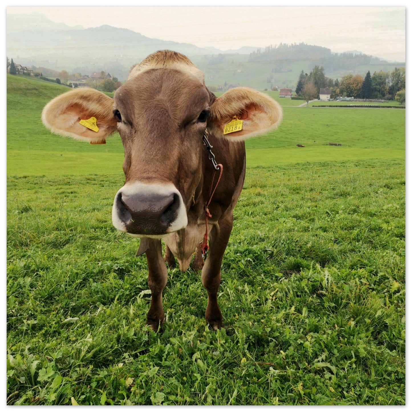 a1209f76-4396-4a79-86fc-e92ac25cb531