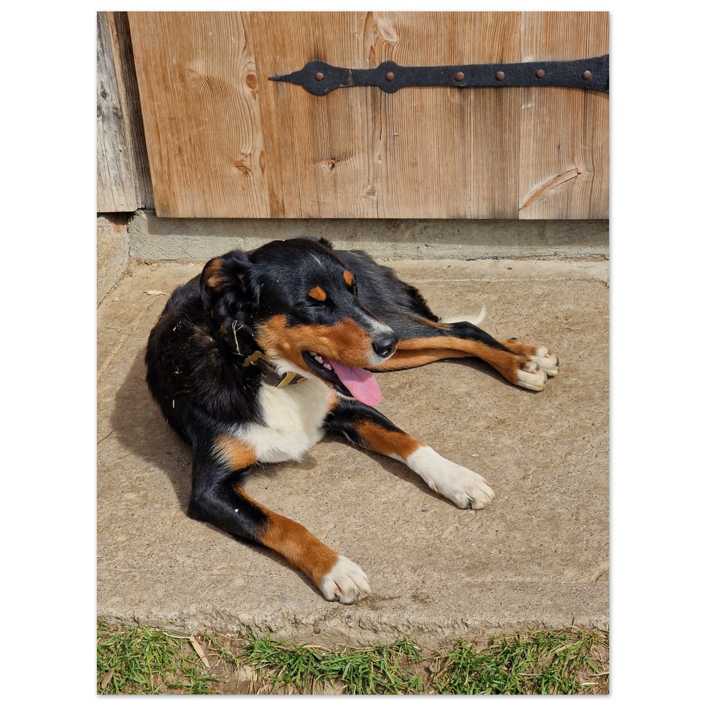 a20736b6-9bcf-4dc1-9e26-8f5760242aa3