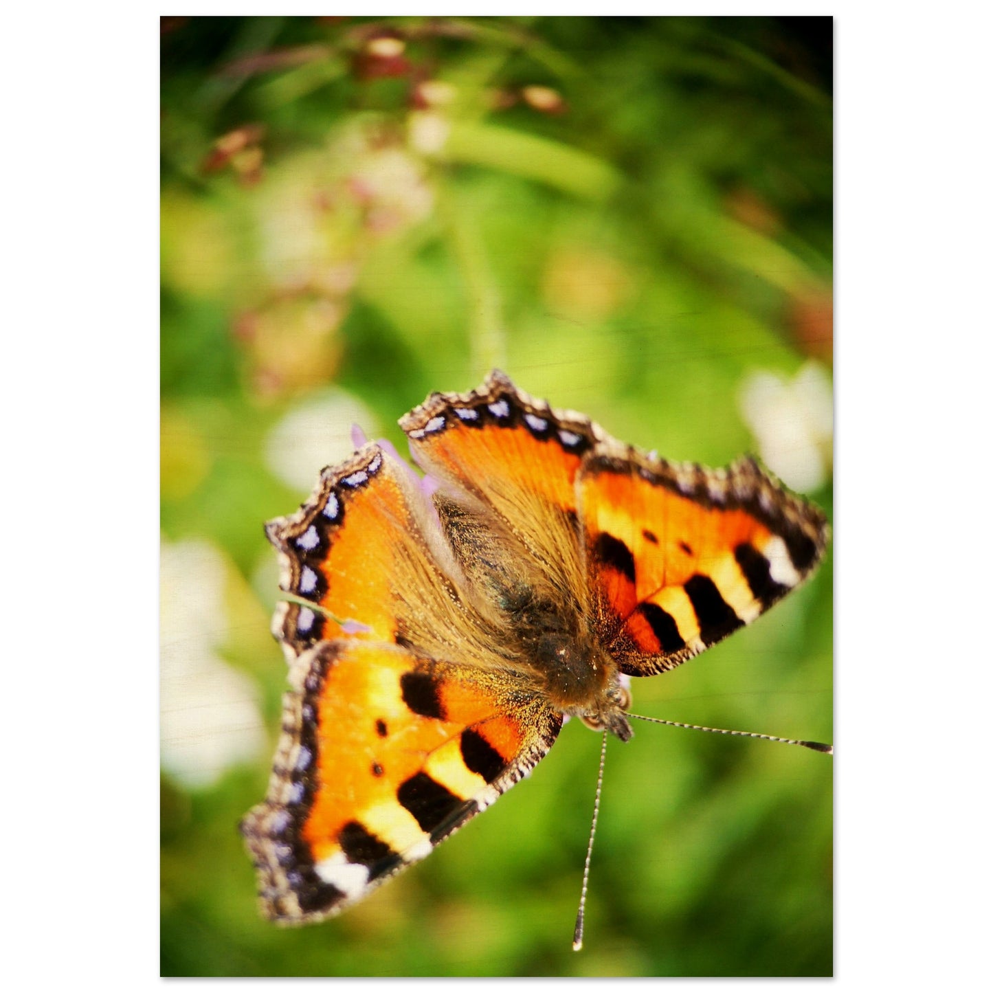 a3b1c928-389b-45ba-9ec4-08c14dd06acc