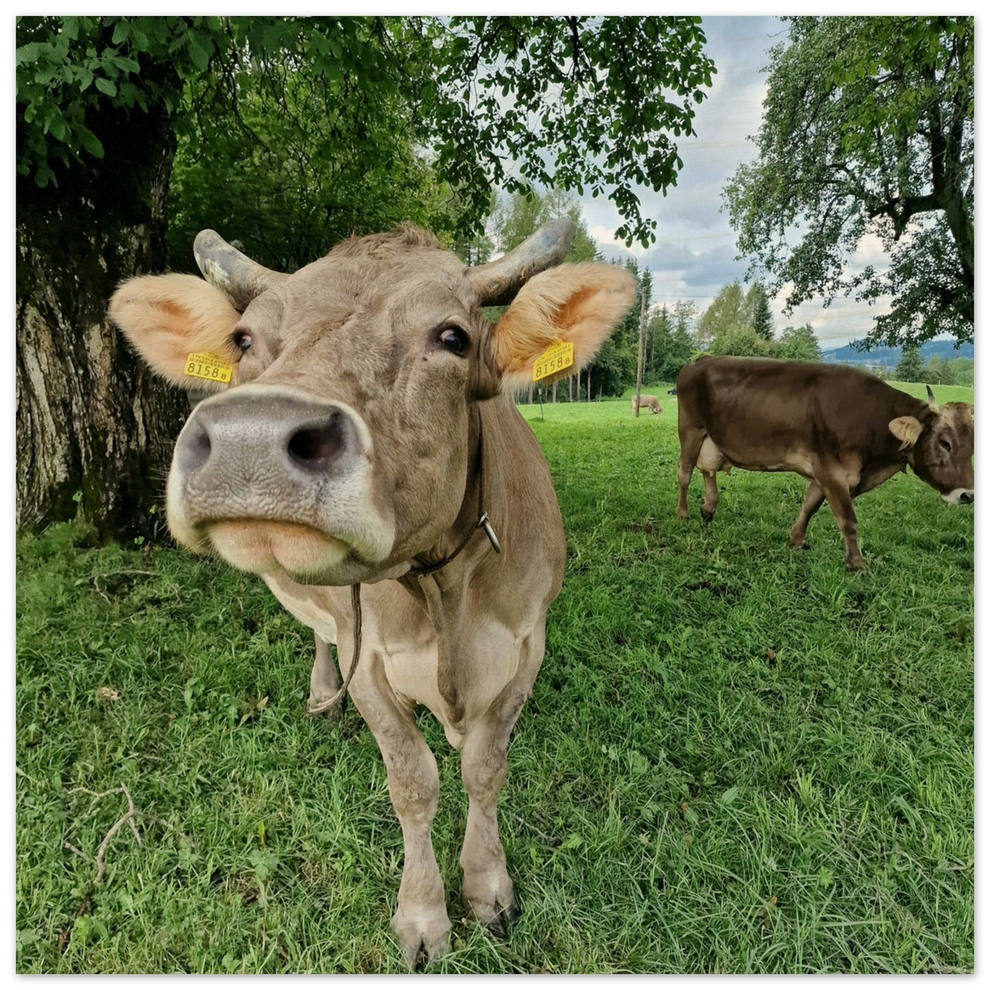 a4d78c9d-e1fd-4565-9295-dc90496e2526