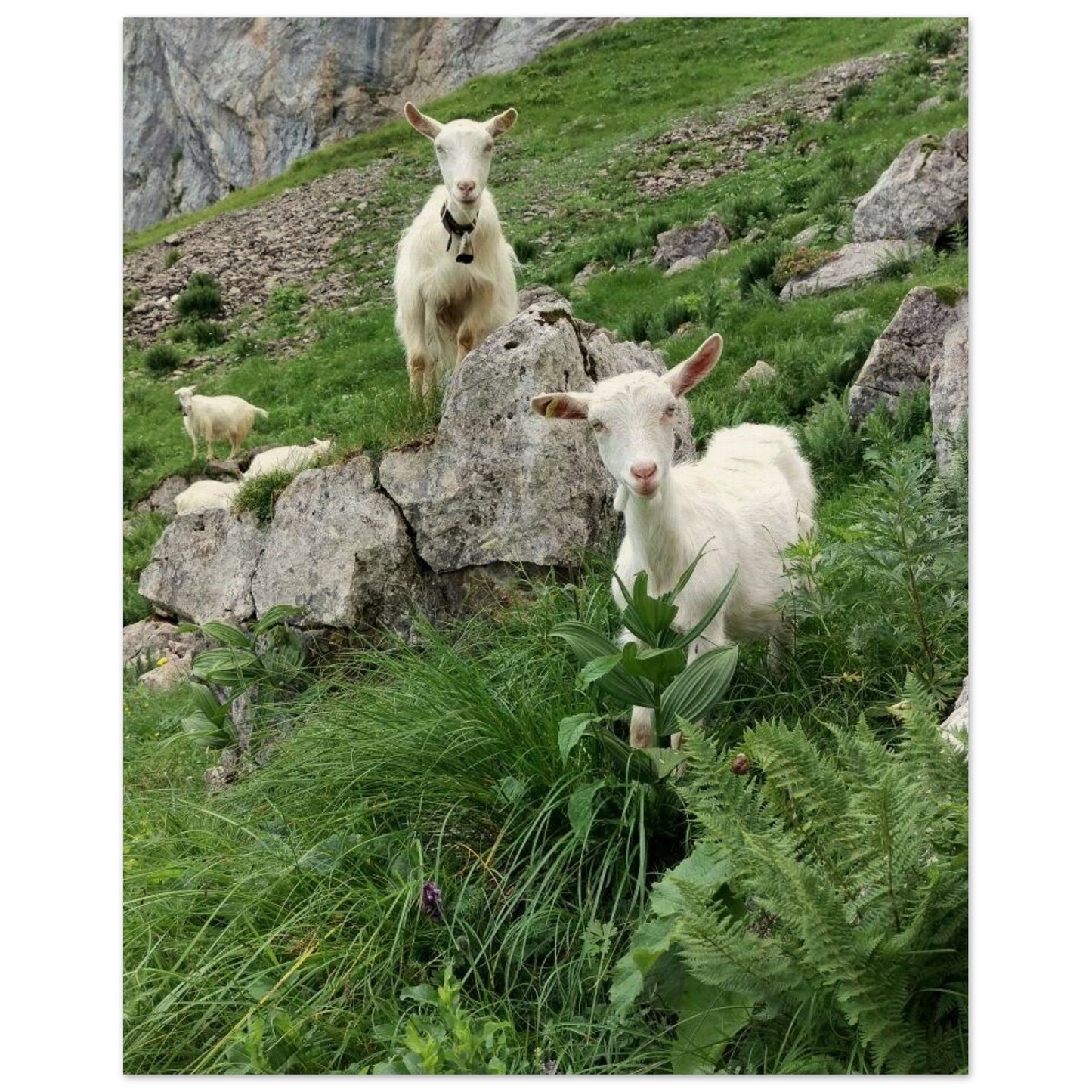 a6ecc4a2-61be-4b0c-90a5-27055a622f68