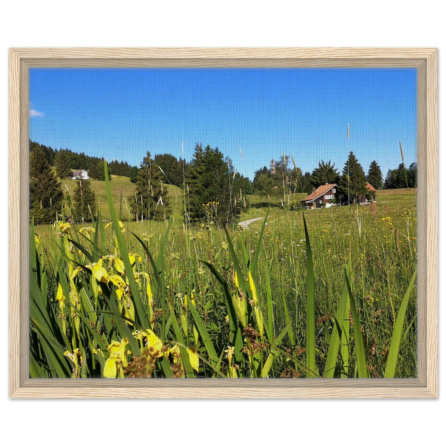 a75efee3-5482-4d0c-94d1-68386d3560ef