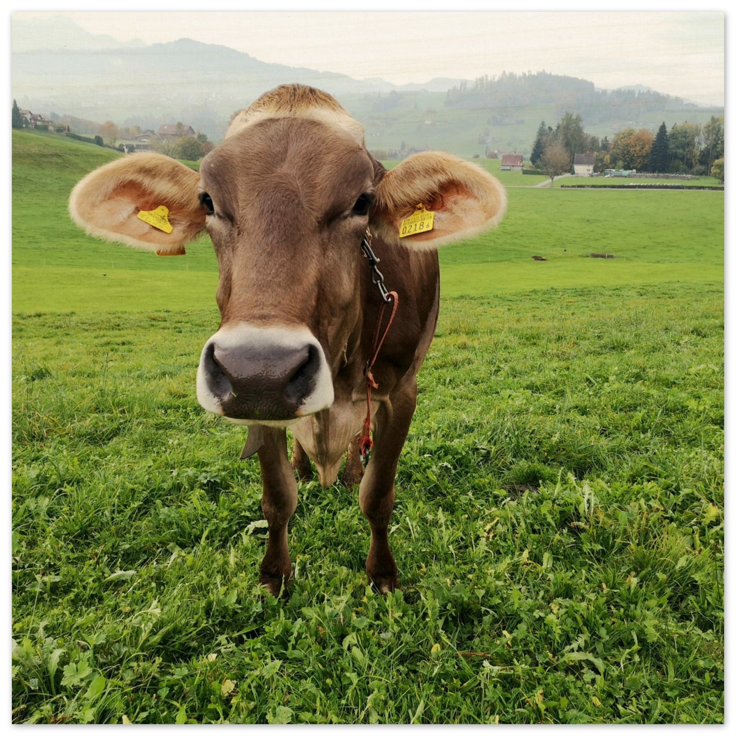 a7a7226f-6e8a-46f7-a8e1-da39599df95b