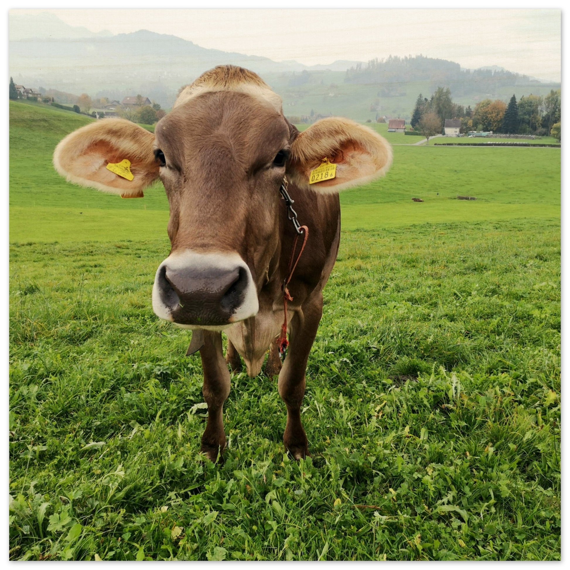 a7a7226f-6e8a-46f7-a8e1-da39599df95b