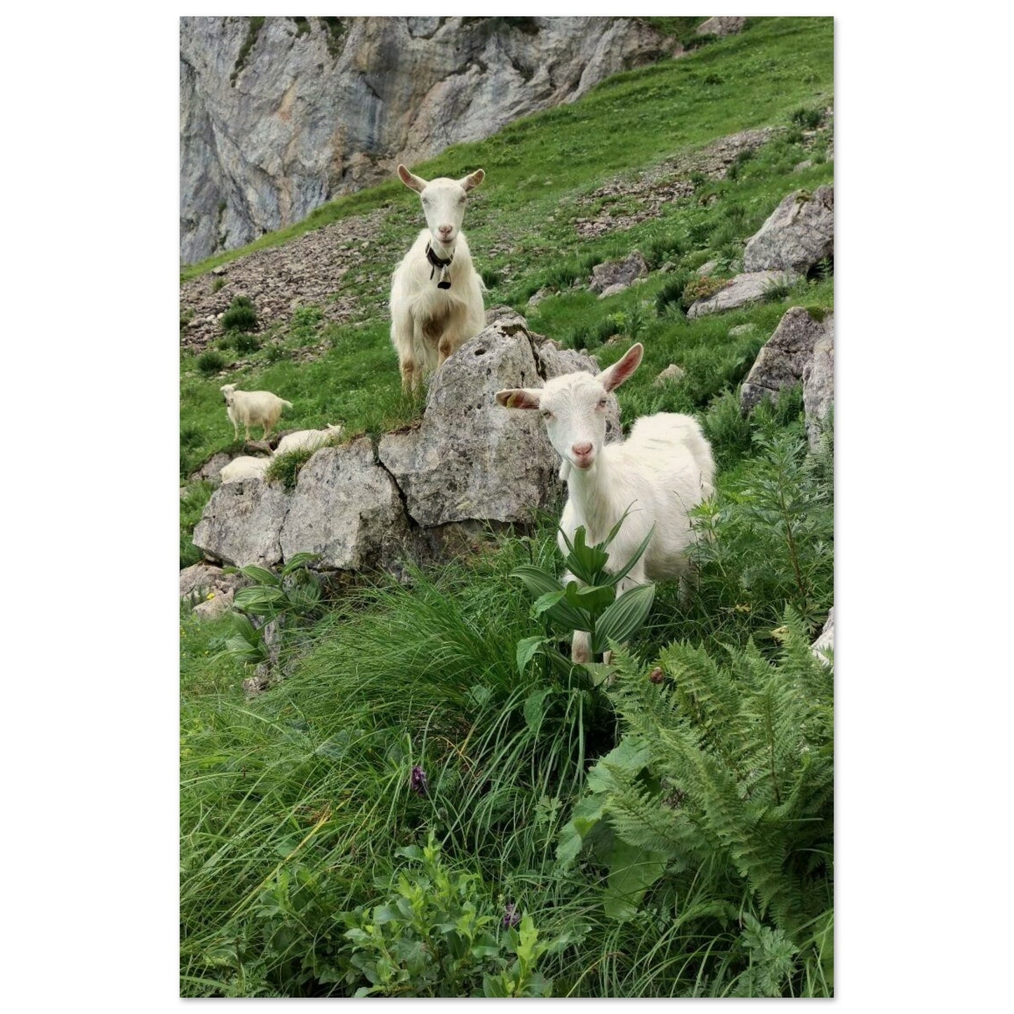 a7b887cd-3509-4136-a280-f82470d9c2b3