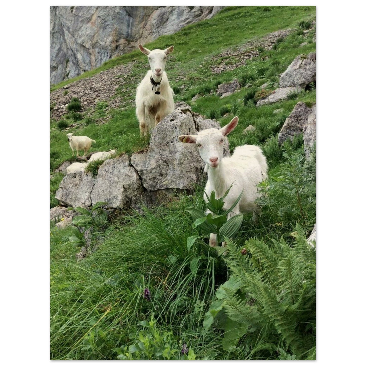 a8ac51ac-e509-43c1-a367-af929a921416