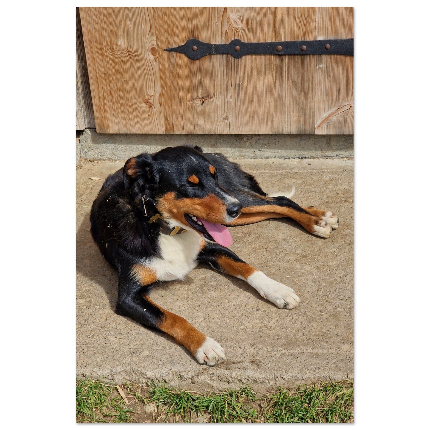 a9348859-9290-4a57-ac4c-16a8d19b835b