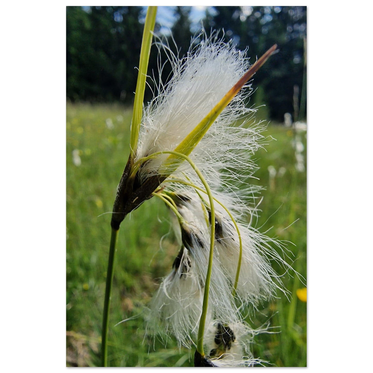 a93a9b93-c877-416f-b81f-ed92ea5a64fe