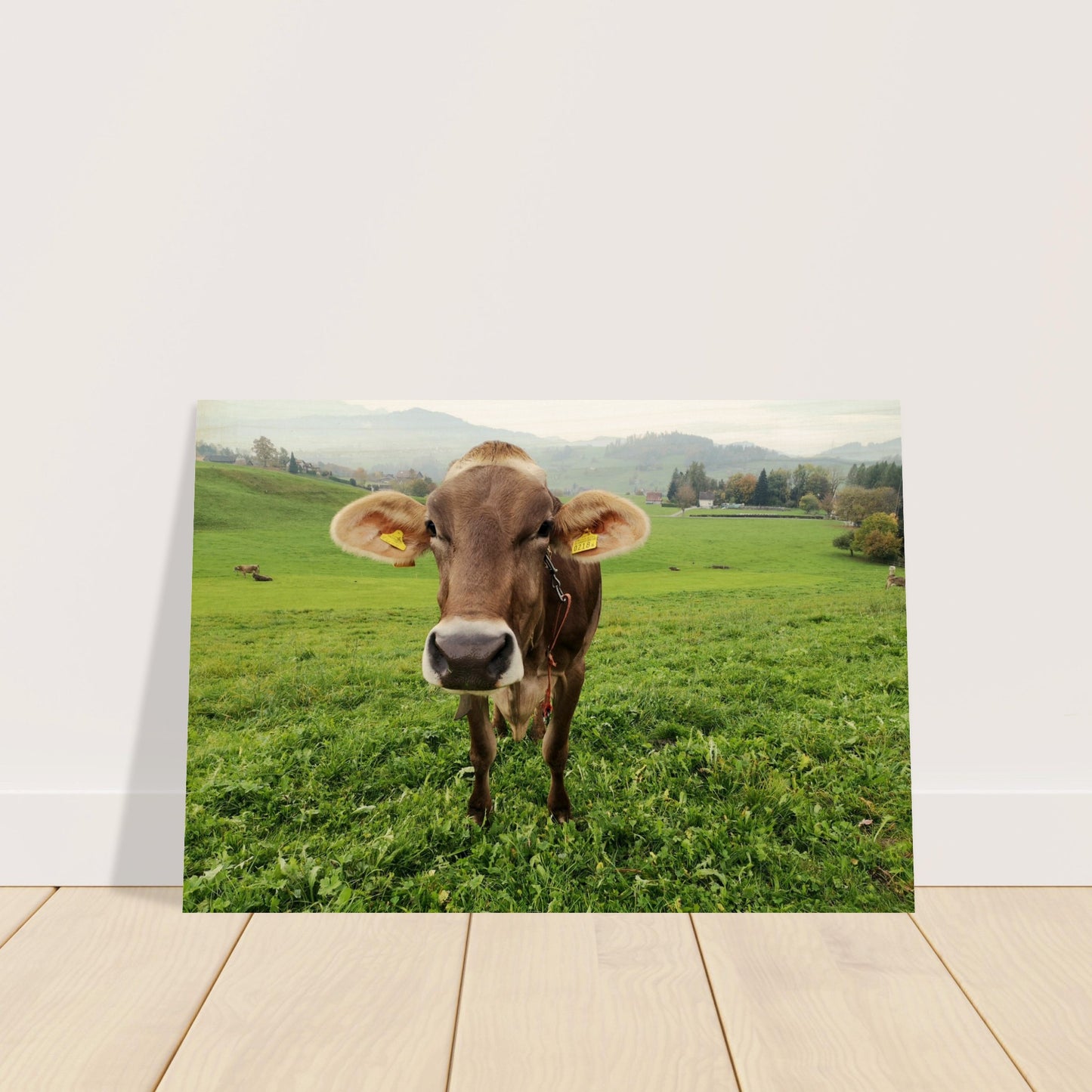 a9c1f550-9dcc-4011-bf6c-84d4432834c5