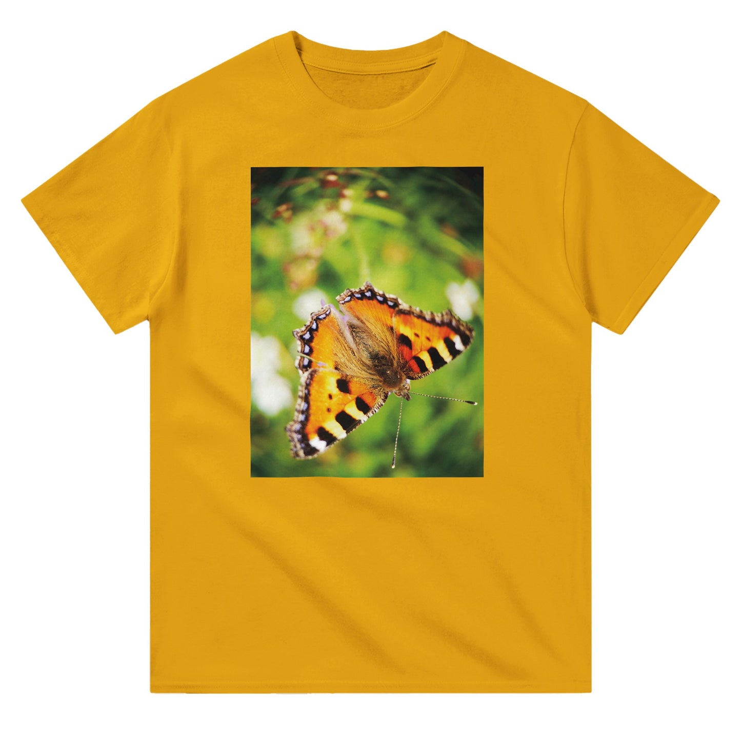 aa74a5cd-06ae-4d11-bb2e-dad6f119e5c9