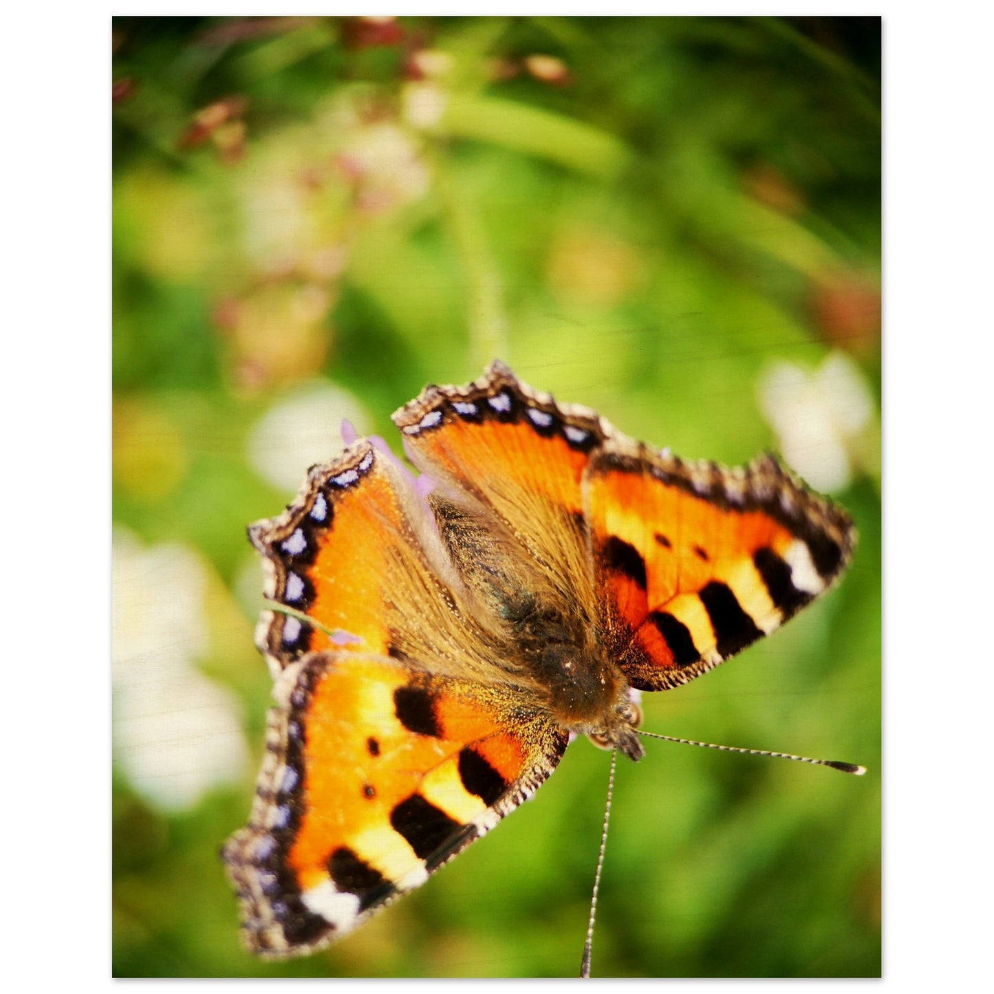 aaf15757-026d-4339-9a69-5f50049196f0