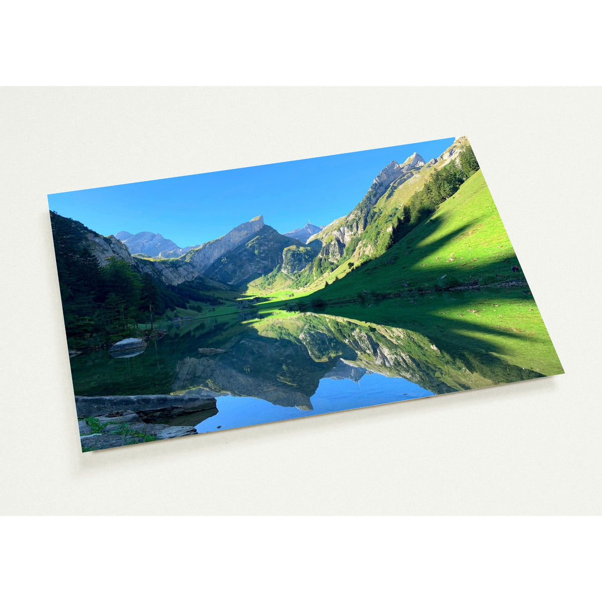 ab926338-2a06-44cd-b13b-4e7a131bb505