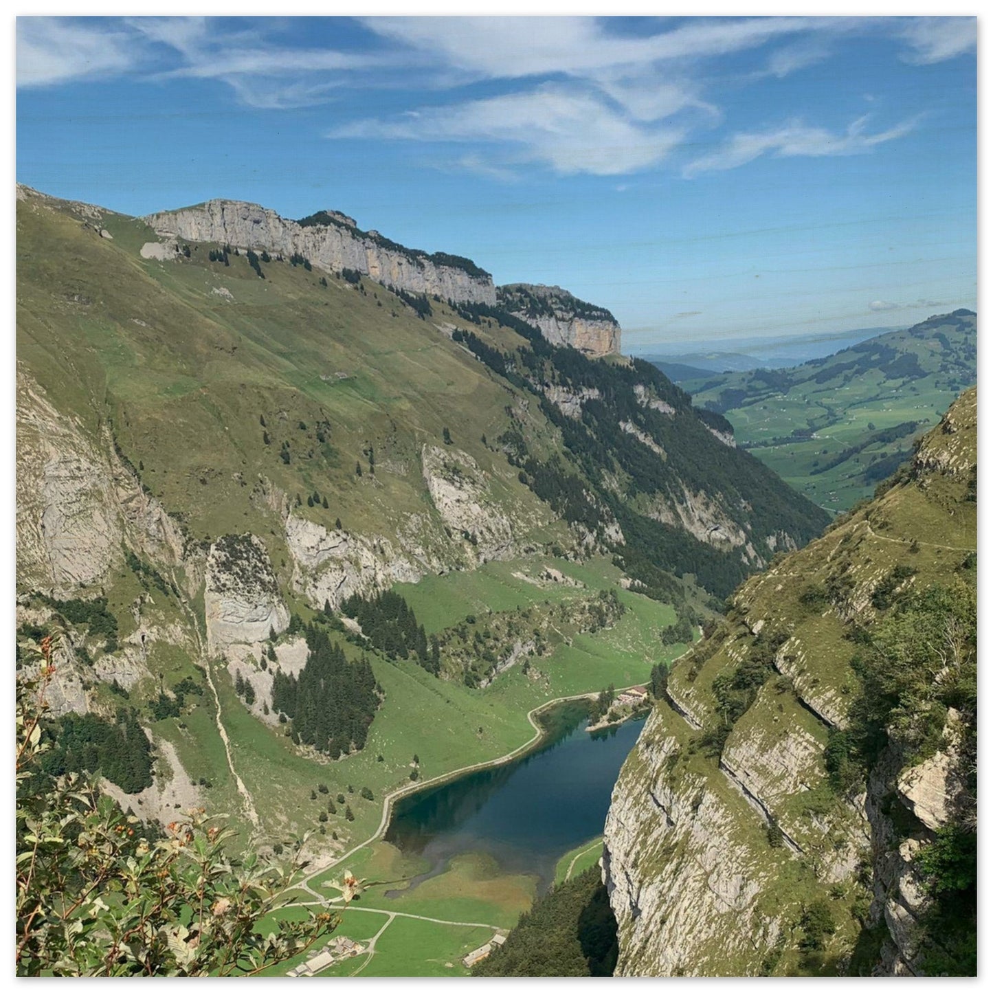 aba327f0-8900-42b0-90d6-fd4e55207fac