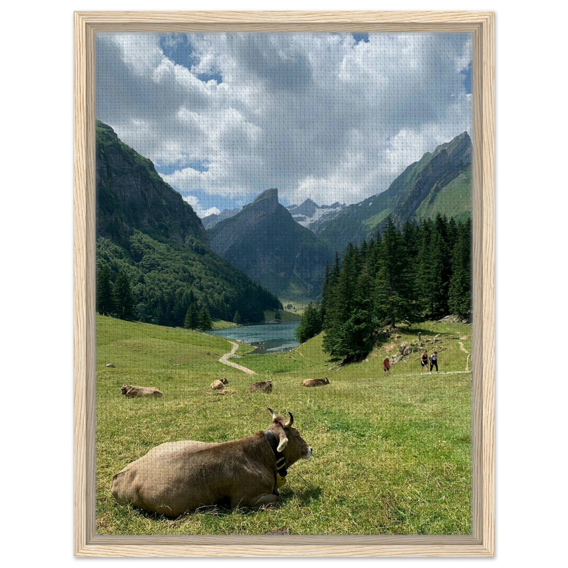 ac00c396-aee6-45e6-8bfd-6cf28f3c366b